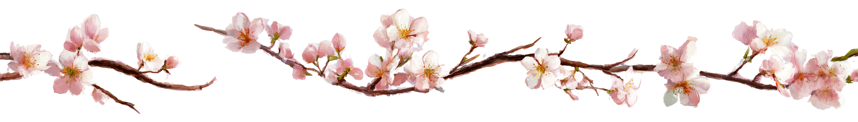 Sakura Branch